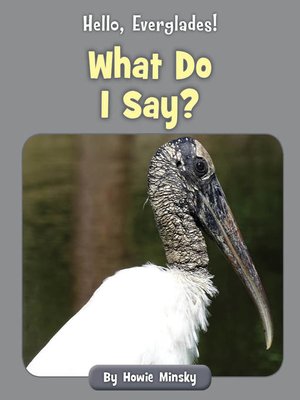 cover image of What Do I Say?